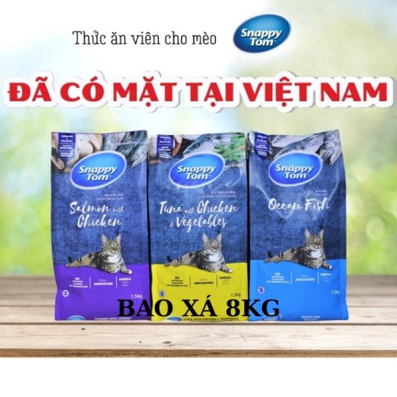 Hạt sappy tom cho mèo bao xá