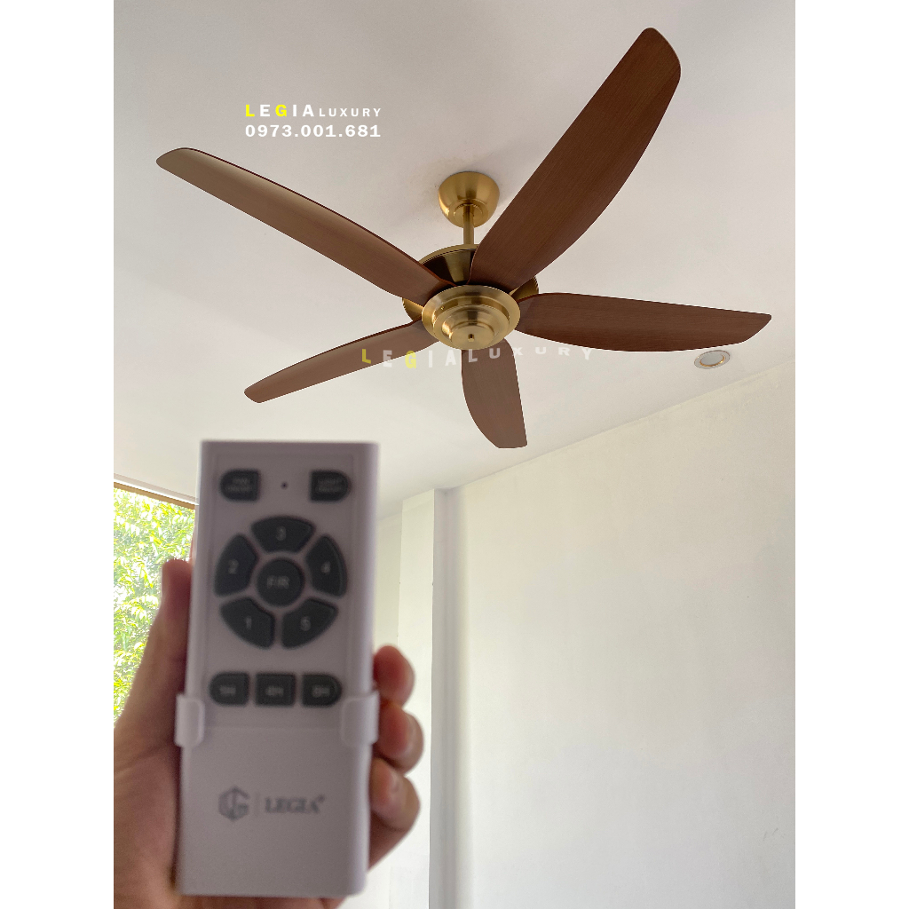 Quạt trần hiện đại Strong Wind LGFAN869