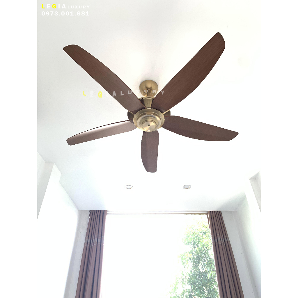 Quạt trần hiện đại Strong Wind LGFAN869
