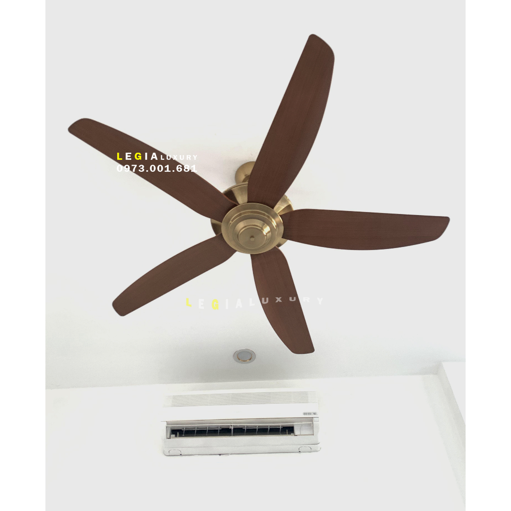 Quạt trần hiện đại Strong Wind LGFAN869