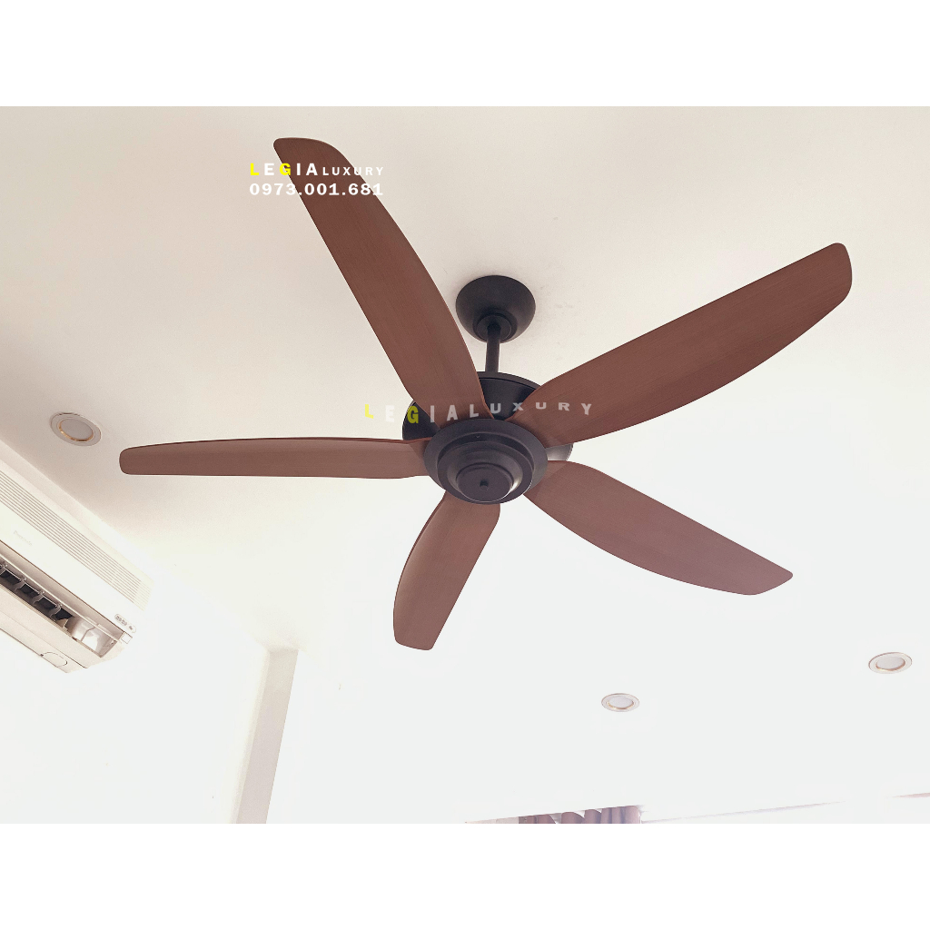 Quạt trần hiện đại Strong Wind LGFAN869