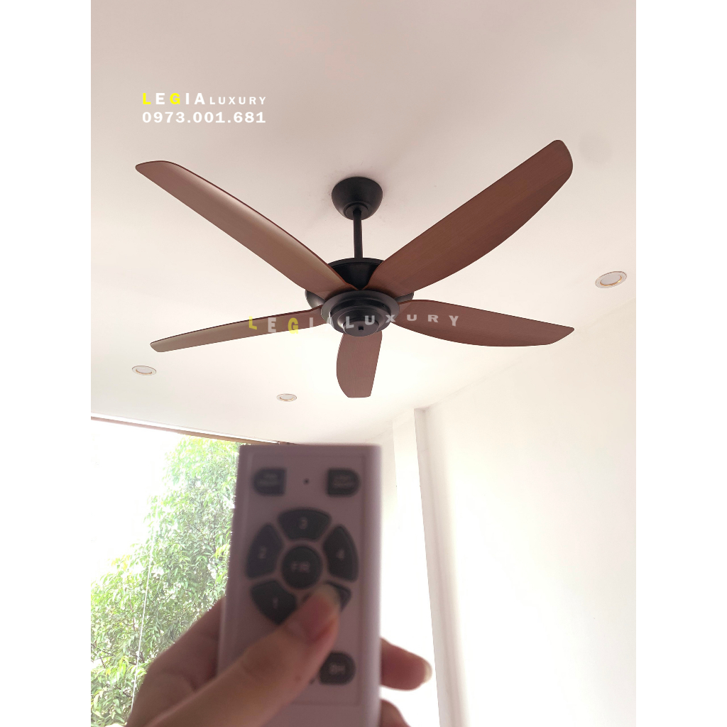 Quạt trần hiện đại Strong Wind LGFAN869