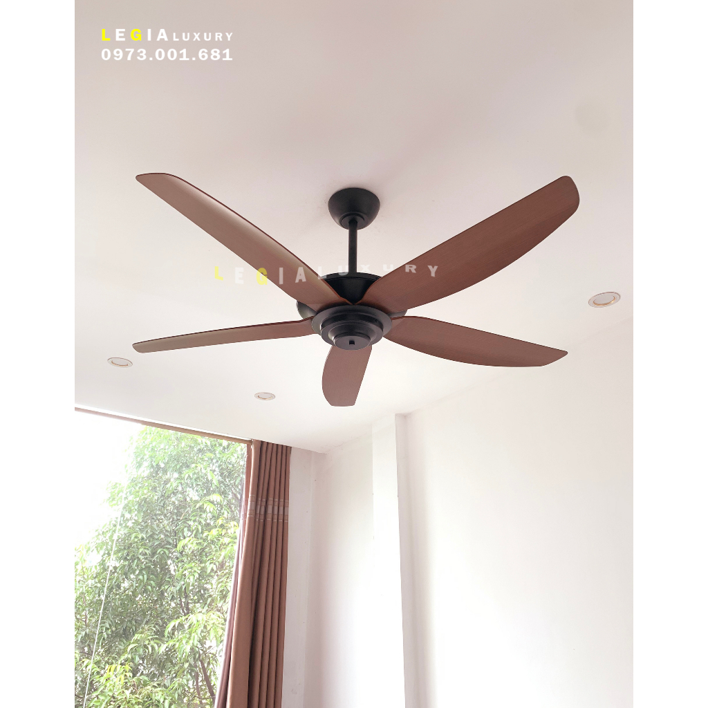 Quạt trần hiện đại Strong Wind LGFAN869