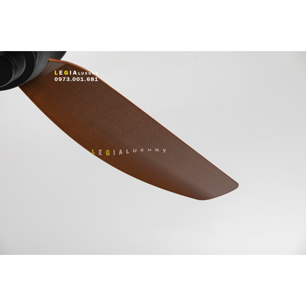 Quạt trần hiện đại Strong Wind LGFAN869