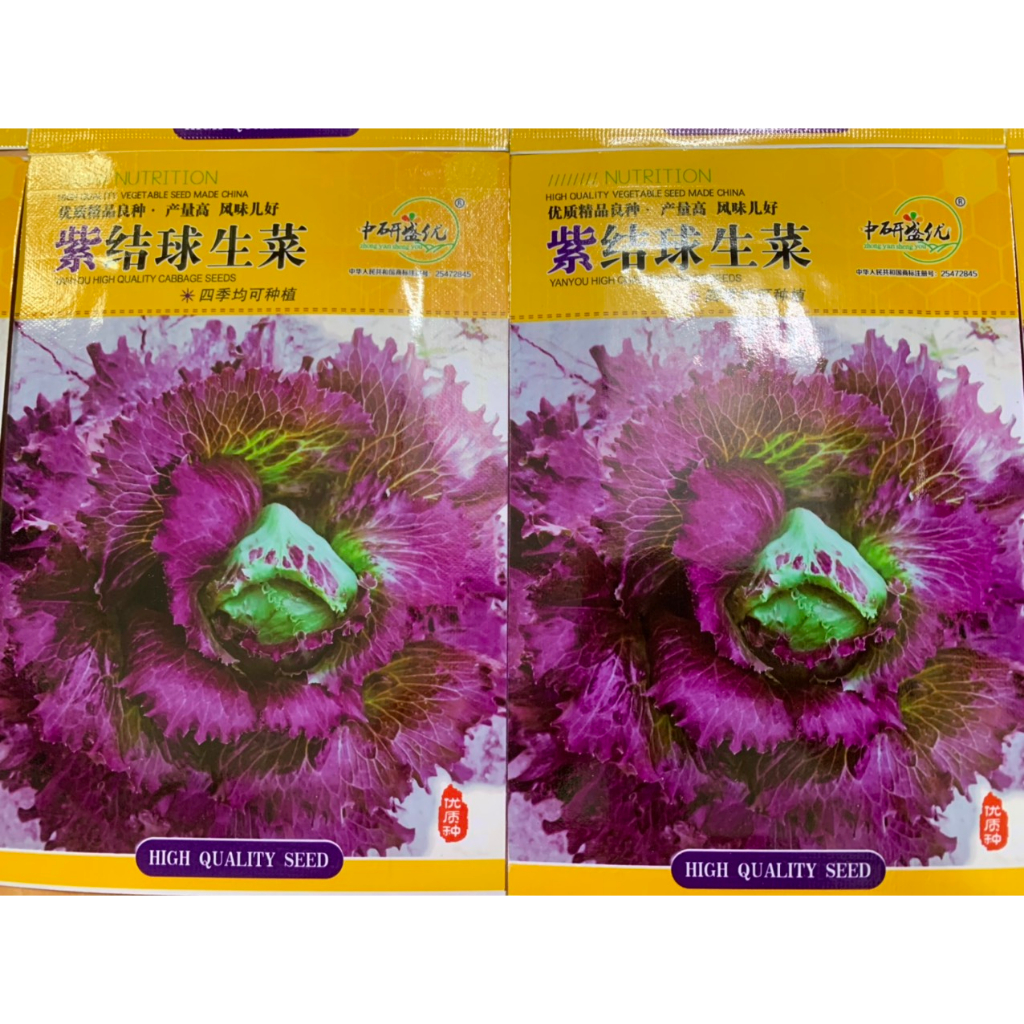 hạt giống xà lách ruby nhập khẩu đài loan nguyên bao bì