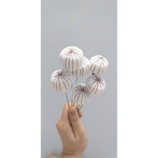 Cây Bông Mồi Lửa Sử Dụng Cho Ống Giác Hơi