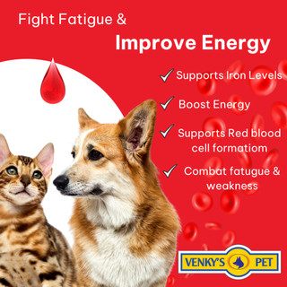 FE-FOLATE Bổ sung sắt cho chó, mèo dạng siro 100,200ml