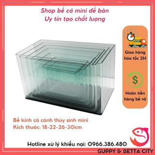 Bể cá mini | bể kính đúc mini size 18-22-26-30cm | bể cá cảnh thủy sinh