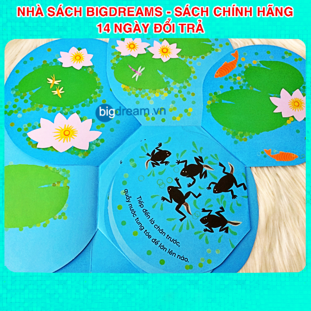 Sách - Vòng đời kỳ diệu  - Sách tương tác lật mở cho bé từ 3-6 tuổi