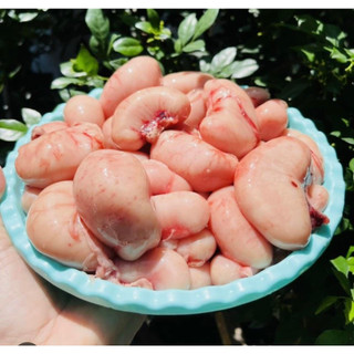Kê gà bổ dưỡng tươi ngon, 500g 150k/kg