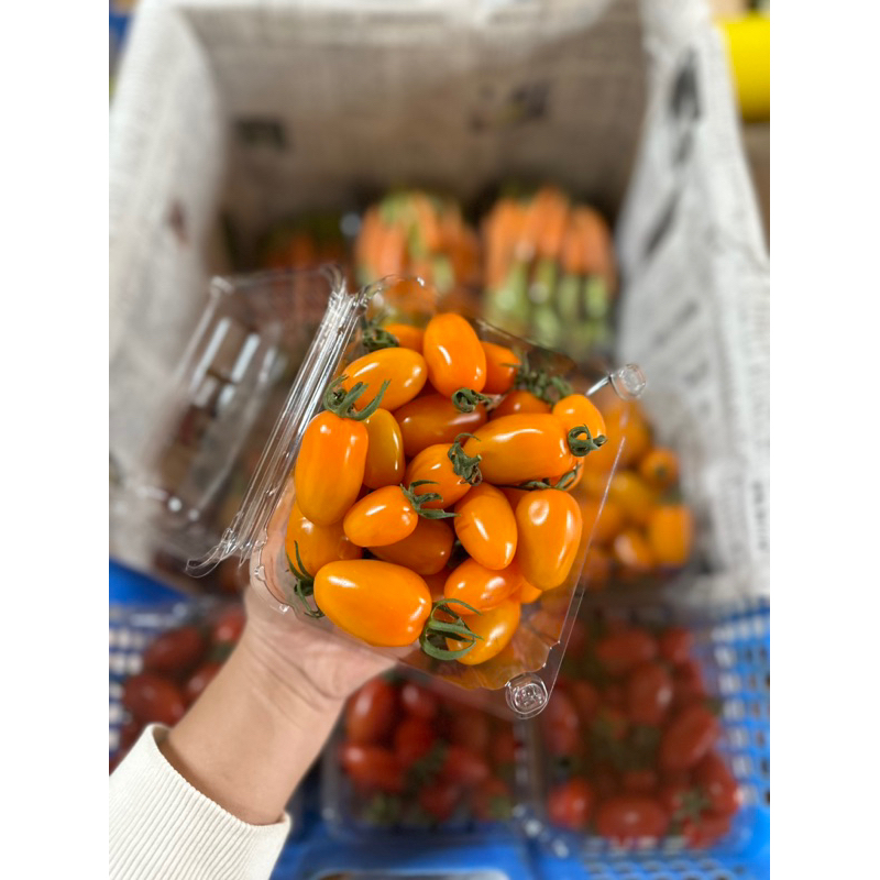 Cà sữa vàng Đà Lạt