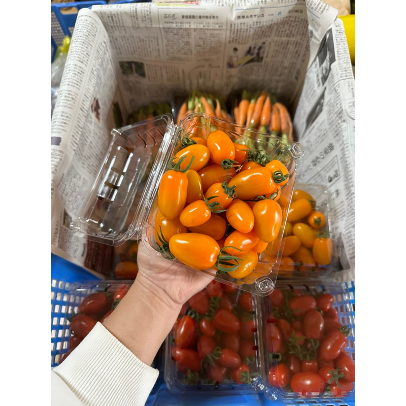 Cà sữa vàng Đà Lạt
