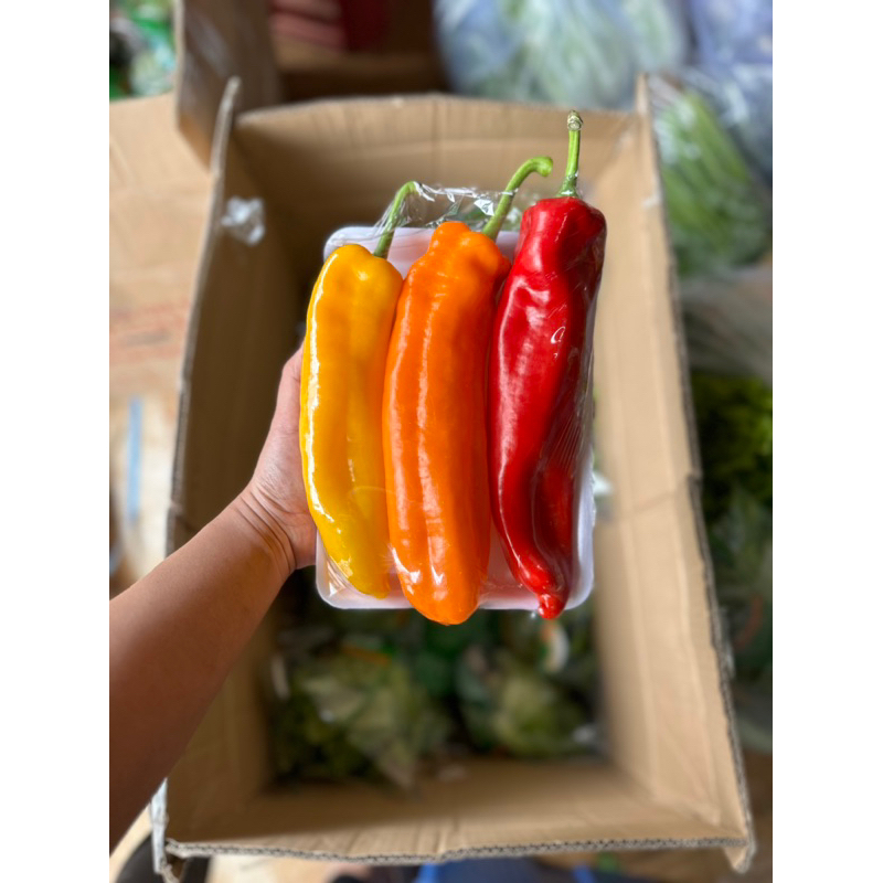 Ớt trái cây