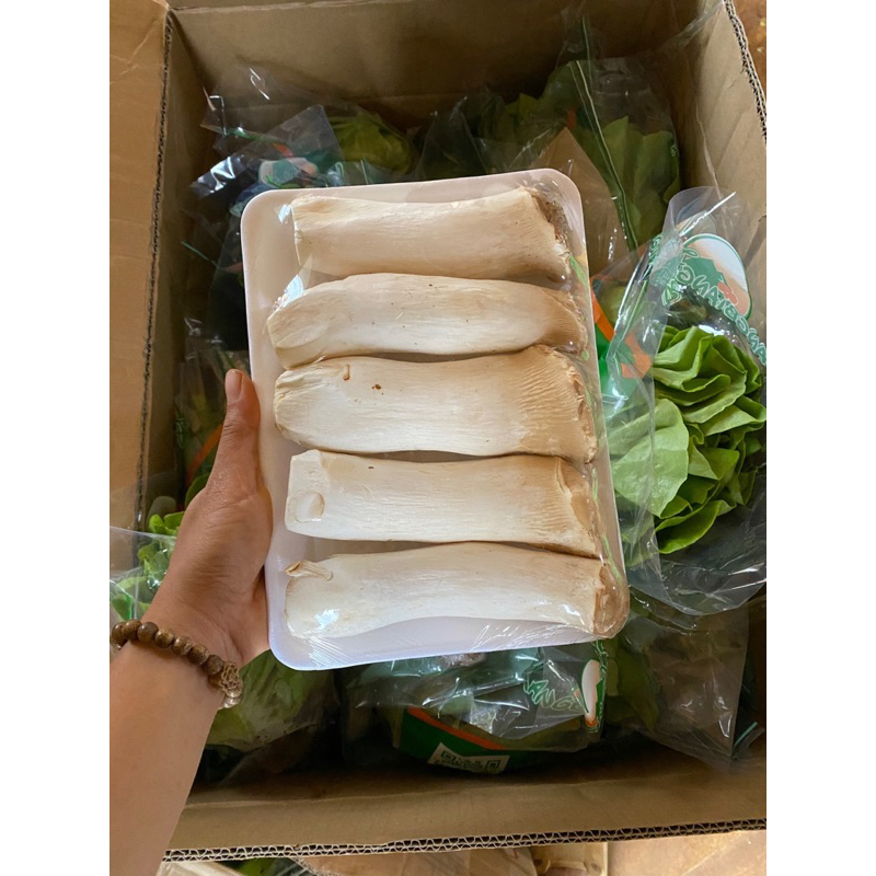 Nấm đùi gà Đà Lạt