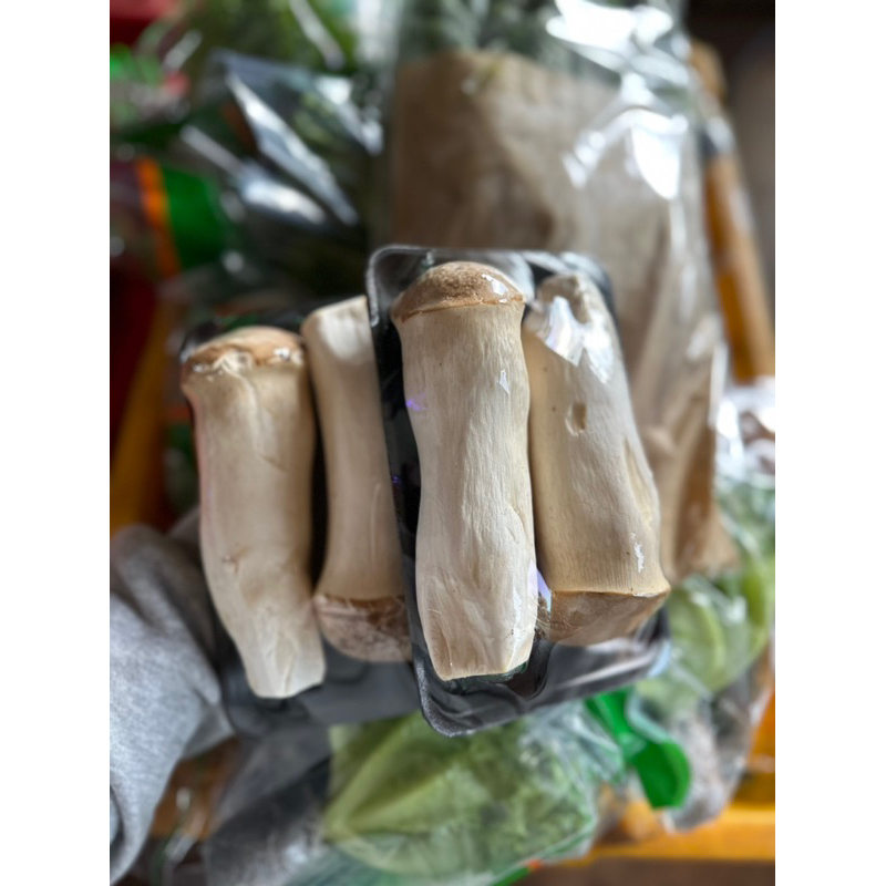 Nấm đùi gà Đà Lạt