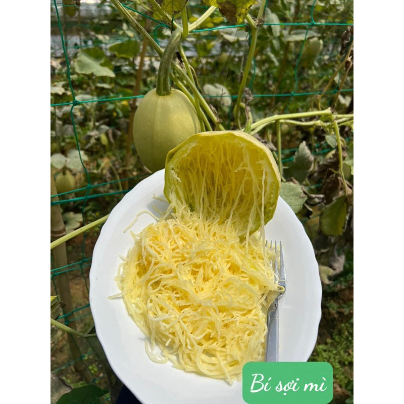 Bí mì sợi Đà Lạt