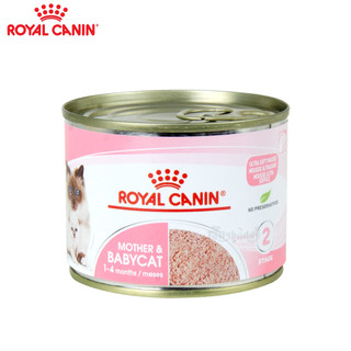 [hoả tốc pettohouse] Pa tê cho mèo mang thai, mèo mẹ và mèo con Royal Canin mother and babycat 195g tiêu chuẩn pháp