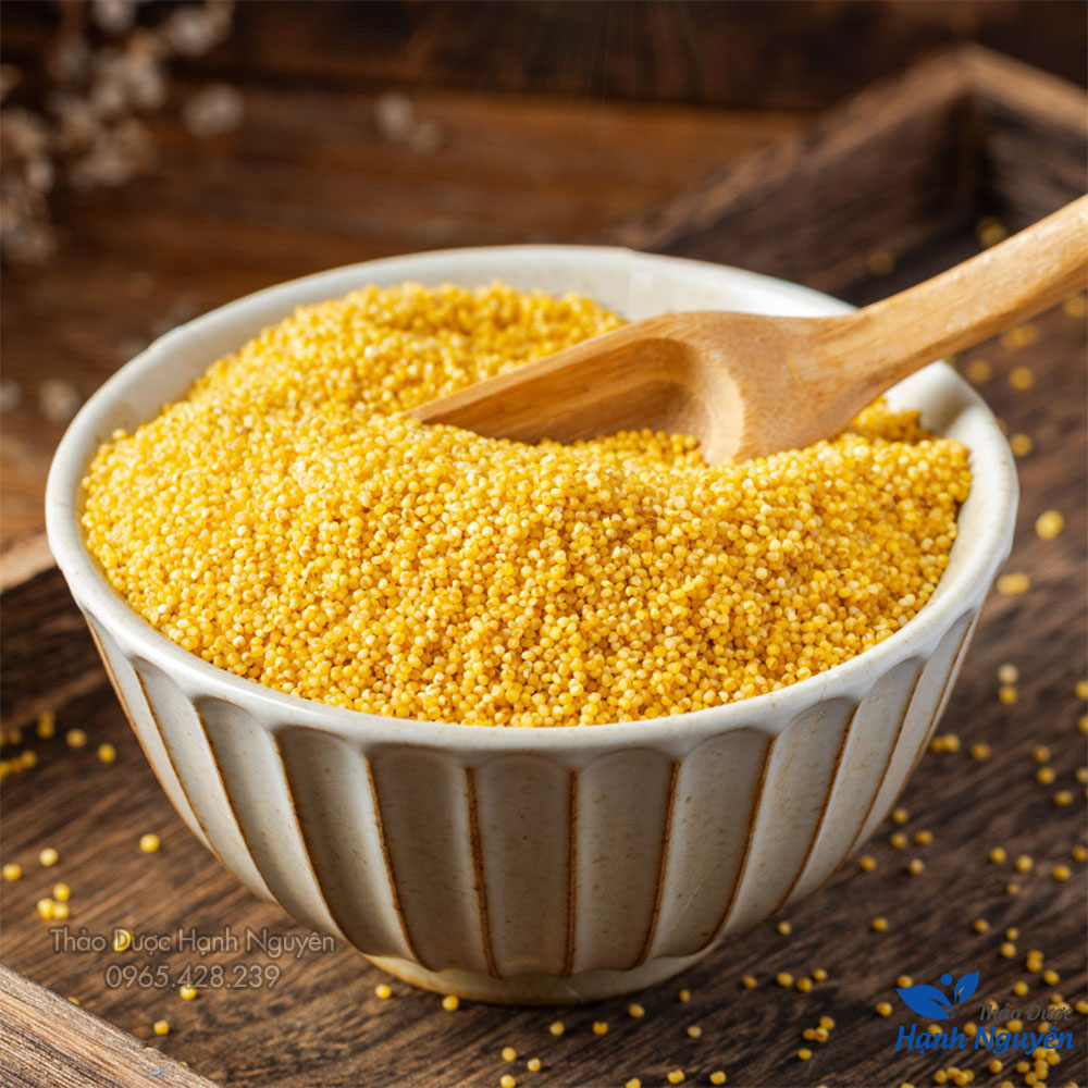 Hạt kê nếp vàng đã tách vỏ 100g, hạt kê hữu cơ ăn dặm cho bé - Thảo Dược Hạnh Nguyên