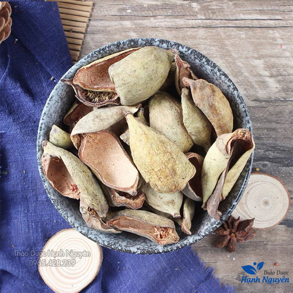 Vương bất lưu hành 500g, quả trâu cổ - Thảo Dược Hạnh Nguyên