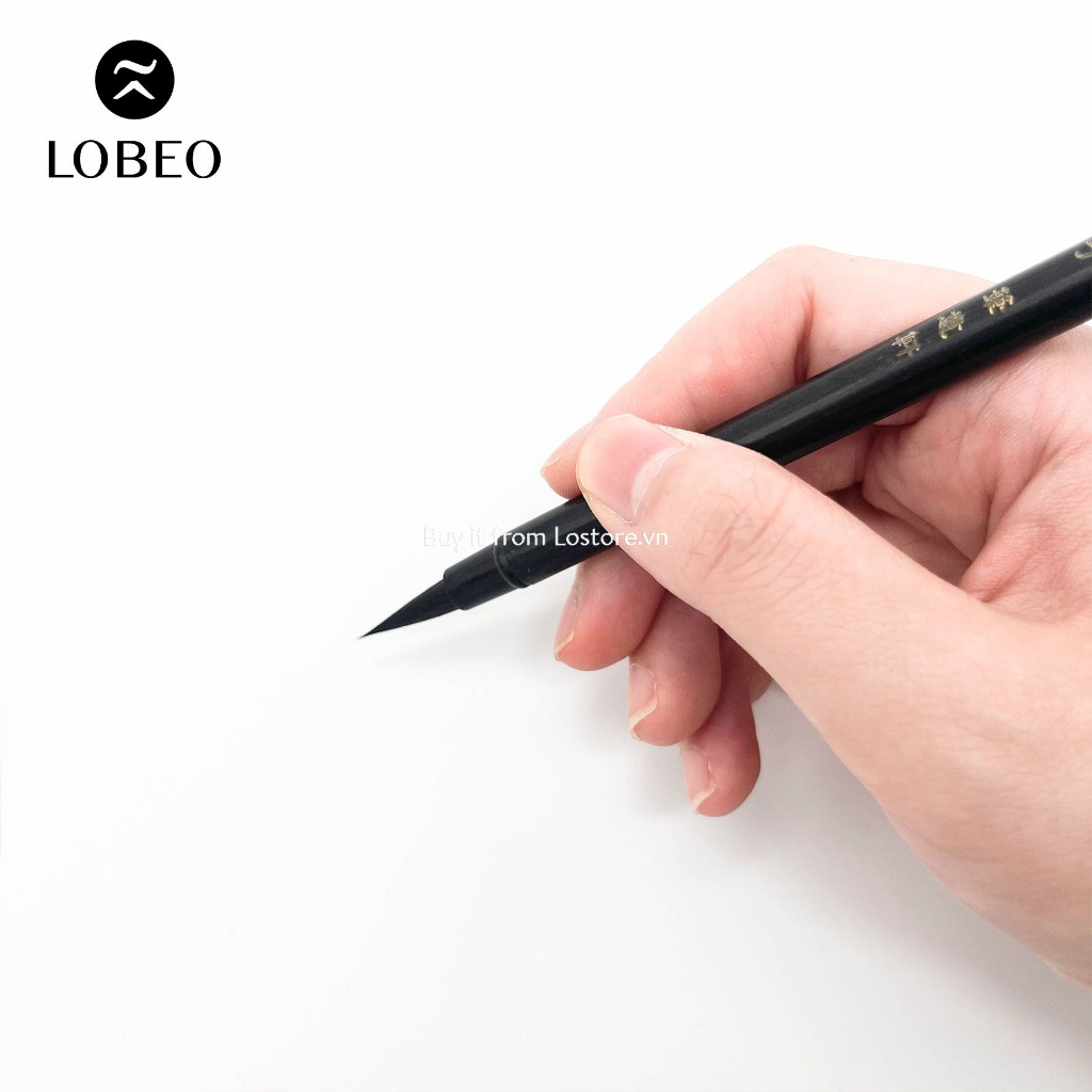 CỌ THƯ PHÁP PHÁ TRẬN TỬ