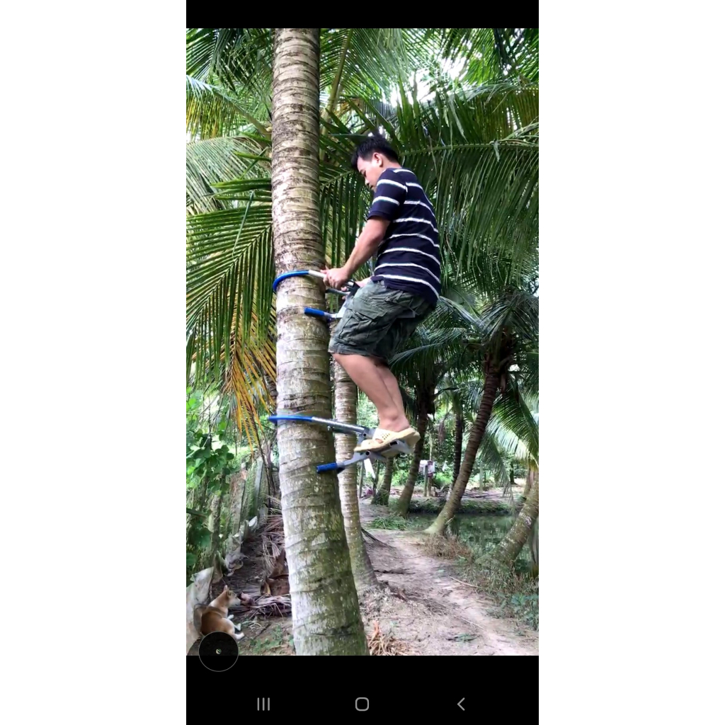 slide