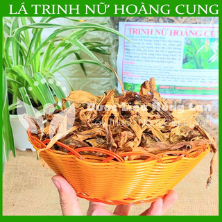 Thảo dược CÂY TRINH NỮ HOÀNG CUNG khô đóng gói 500g - congtyduoclieuhonglan
