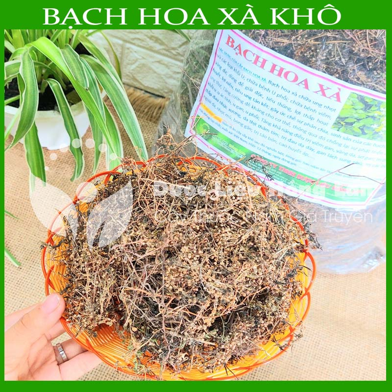 CÂY BẠCH HOA XÀ THIỆT THẢO khô sạch đóng gói 1kg - congtyduoclieuhonglan