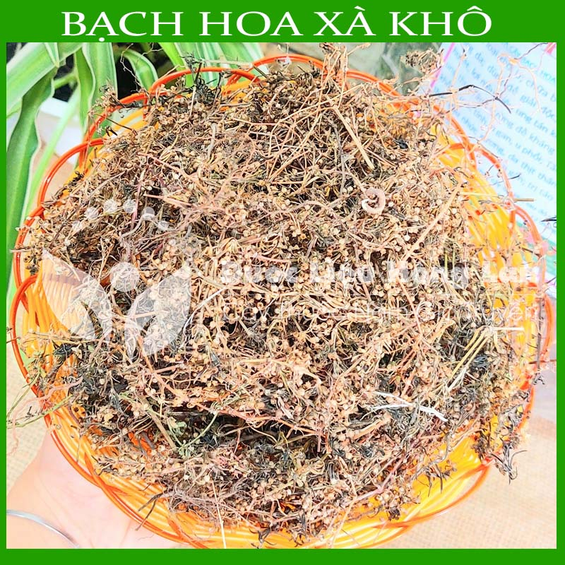 CÂY BẠCH HOA XÀ THIỆT THẢO khô sạch đóng gói 1kg - congtyduoclieuhonglan