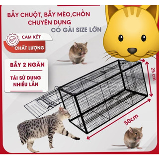 Lồng Bẫy  Mèo Hoang Sóc Bẫy Chồn Lồng Có Thể Tái Sử Dụng Nhiều Lần