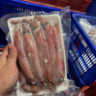 Mực ghim trứng 1kg dài 9-15cm
