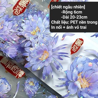 Băng dính PET hoa bỉ ngạn, PET phong các cổ trang trang trí tranh cát chảy