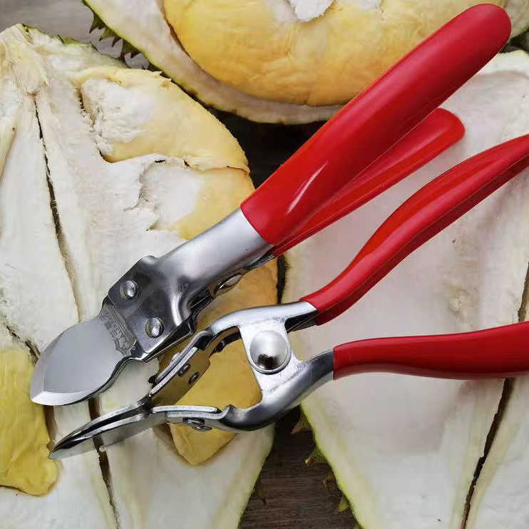 Dụng cụ  bóc vỏ sầu riêng bằng tay chất liệu thép không rỉ