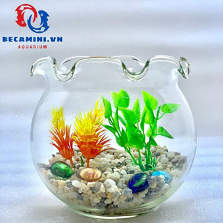 Bể cá mini tai bèo B