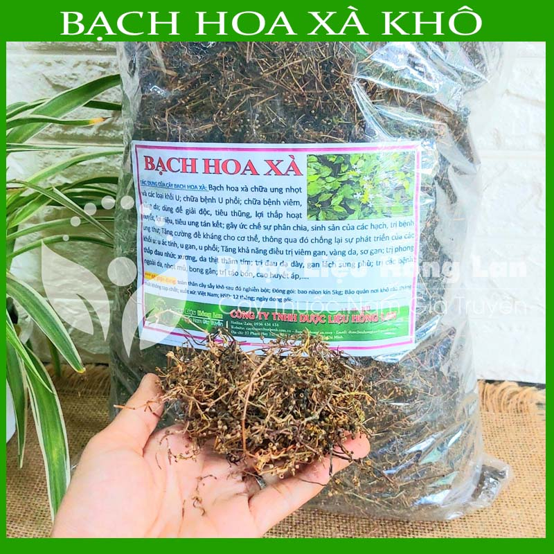 Thảo dược CÂY BẠCH HOA XÀ THIỆT THẢO khô sạch đóng gói 500gram - congtyduoclieuhonglan
