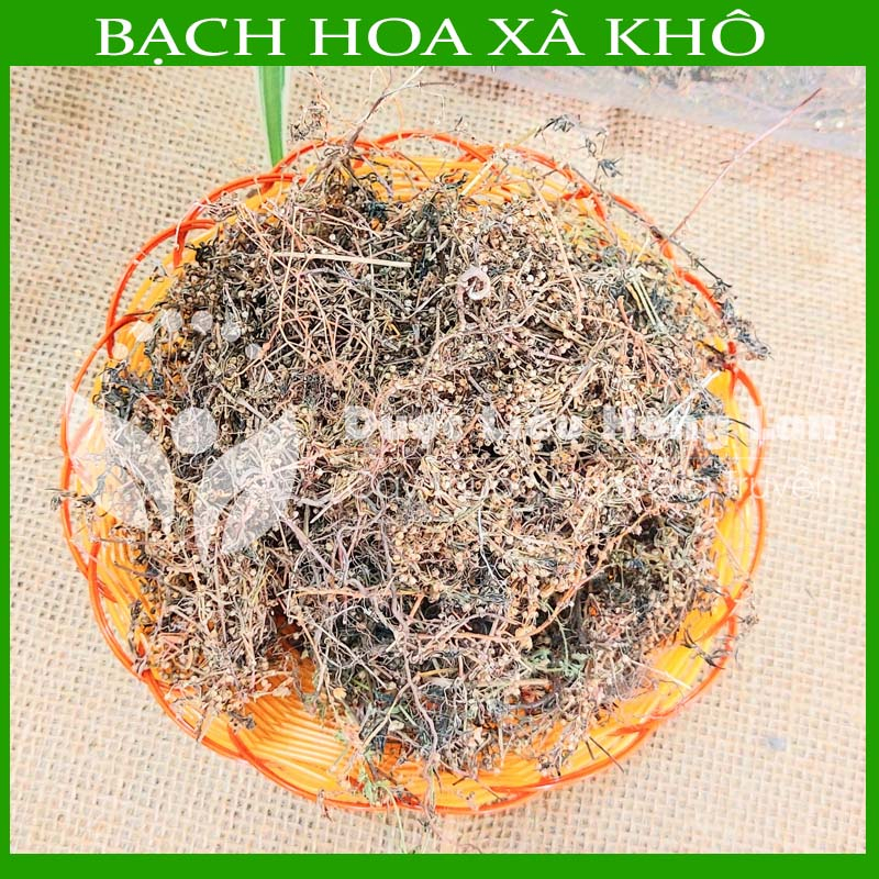 Thảo dược CÂY BẠCH HOA XÀ THIỆT THẢO khô sạch đóng gói 500gram - congtyduoclieuhonglan