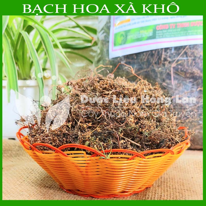 Thảo dược CÂY BẠCH HOA XÀ THIỆT THẢO khô sạch đóng gói 500gram - congtyduoclieuhonglan