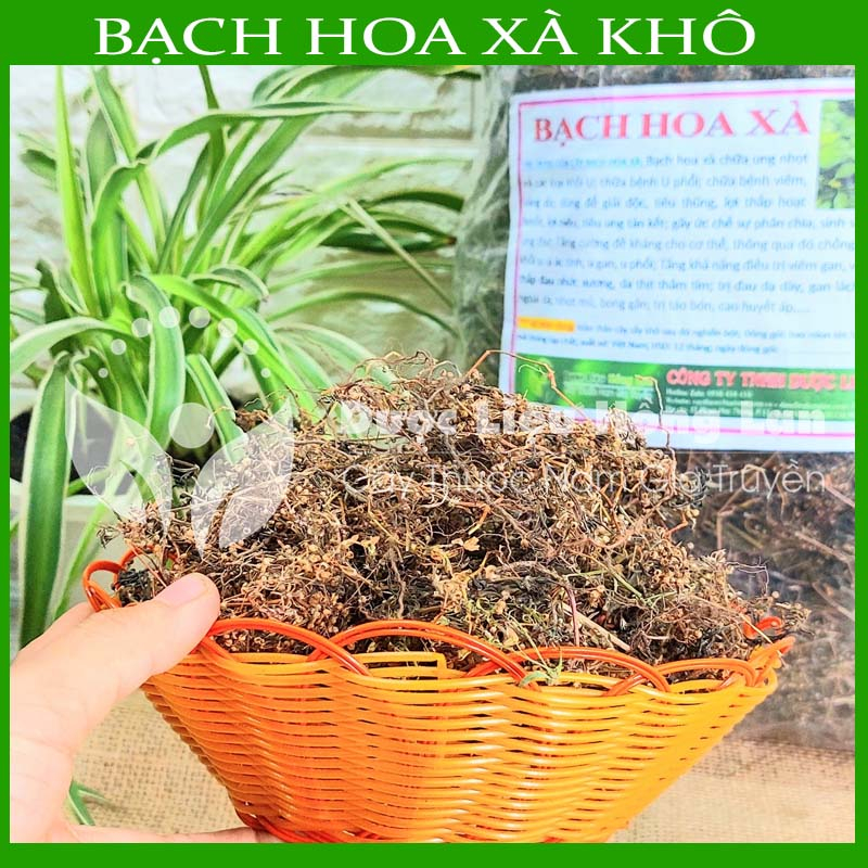 Thảo dược CÂY BẠCH HOA XÀ THIỆT THẢO khô sạch đóng gói 500gram - congtyduoclieuhonglan