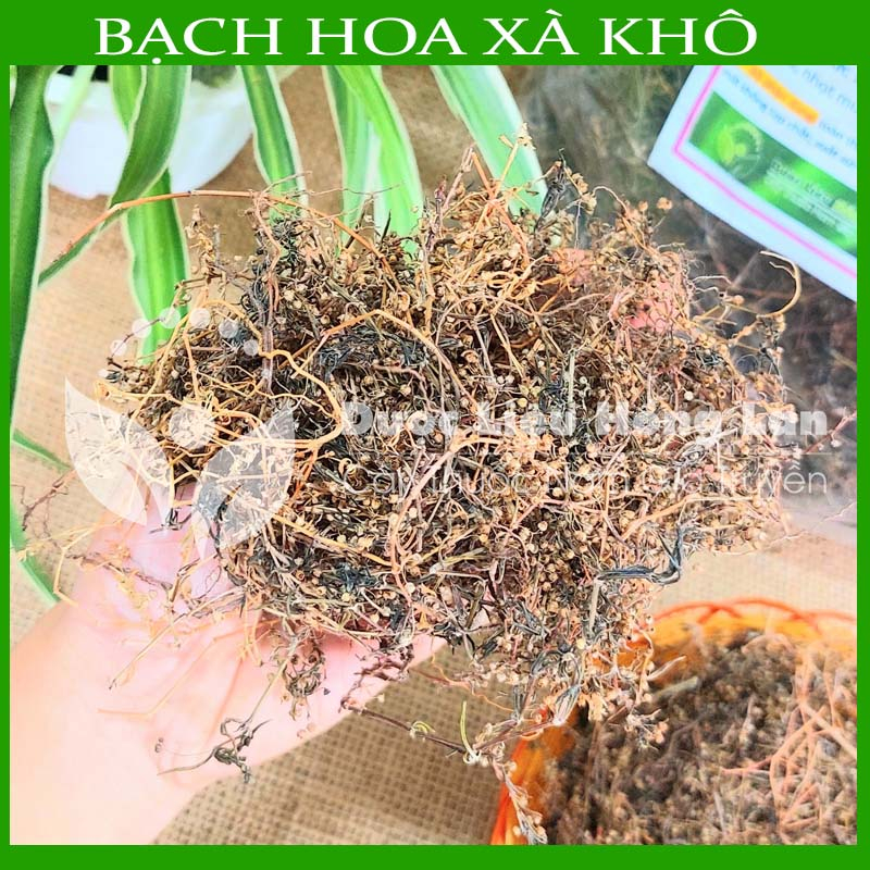 Thảo dược CÂY BẠCH HOA XÀ THIỆT THẢO khô sạch đóng gói 500gram - congtyduoclieuhonglan