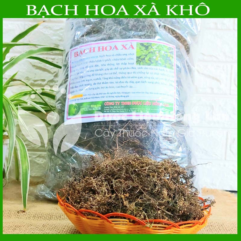 Thảo dược CÂY BẠCH HOA XÀ THIỆT THẢO khô sạch đóng gói 500gram - congtyduoclieuhonglan
