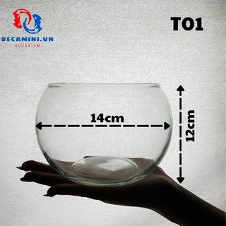 Bể cá mini tròn , chậu thủy tinh tròn 15cm