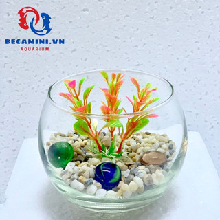 Chậu thủy tinh , bể cá mini tròn 10cm