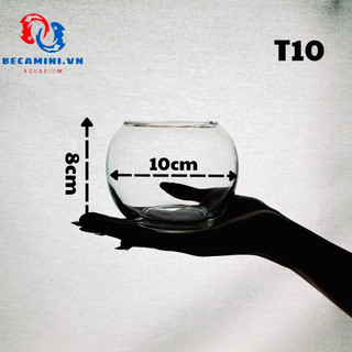 Chậu thủy tinh , bể cá mini tròn 10cm