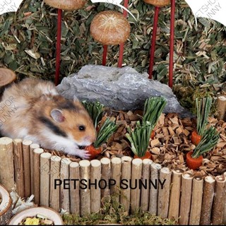 Cà rốt mài răng mini Bucatstate cho hamster, thỏ, bọ