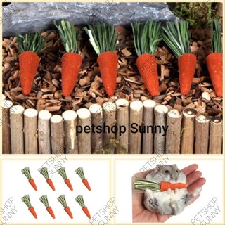 Cà rốt mài răng mini Bucatstate cho hamster, thỏ, bọ