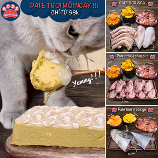 PATE TƯƠI MỖI NGÀY CHO THÚ CƯNG HỘP 600G (mẻ mới liên tục)