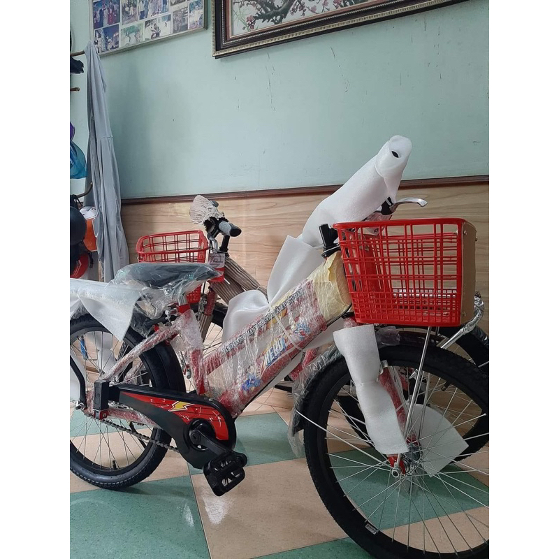 Xe đạp Thống Nhất 20 inch cho bé 7-12t