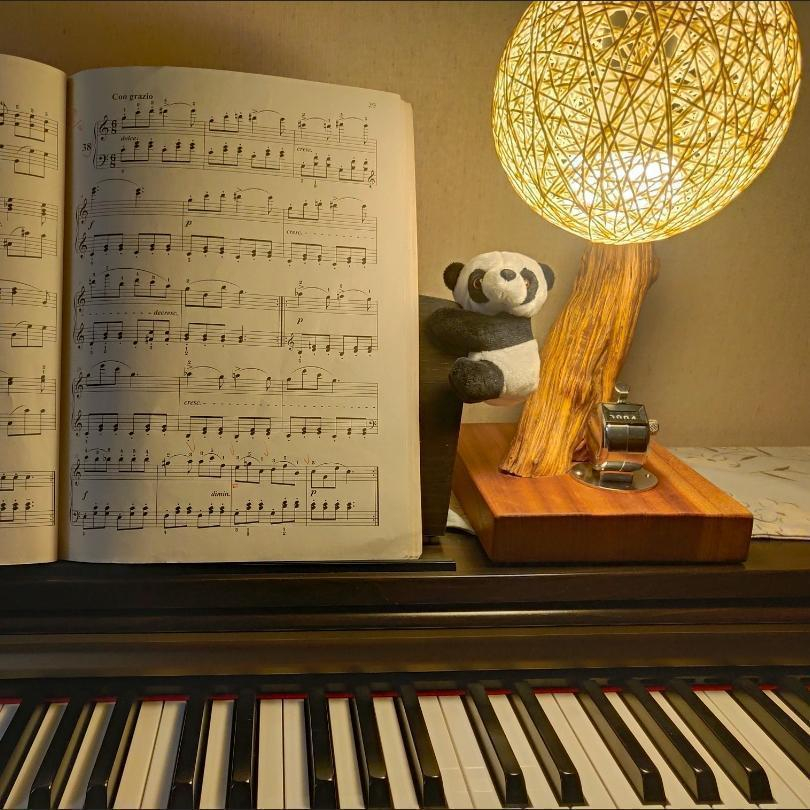 Gấu Trúc Ôm Cây Có Kẹp Trang Trí Để Bàn Quà Tặng Đáng Yêu