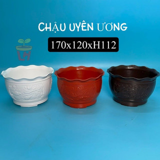 Chậu nhựa trồng cây-Chậu uyên ương đk miệng 17cm, chậu nhựa để bàn