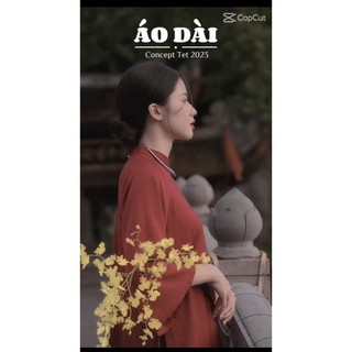 Áo dài dáng suông chụp ảnh