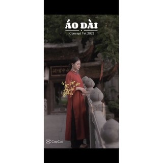 Áo dài dáng suông chụp ảnh